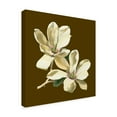 thumbnail image 2 of Trademark Fine Art 'Magnolia on Taupe II' Canvas Art by Unknown, 2 of 4