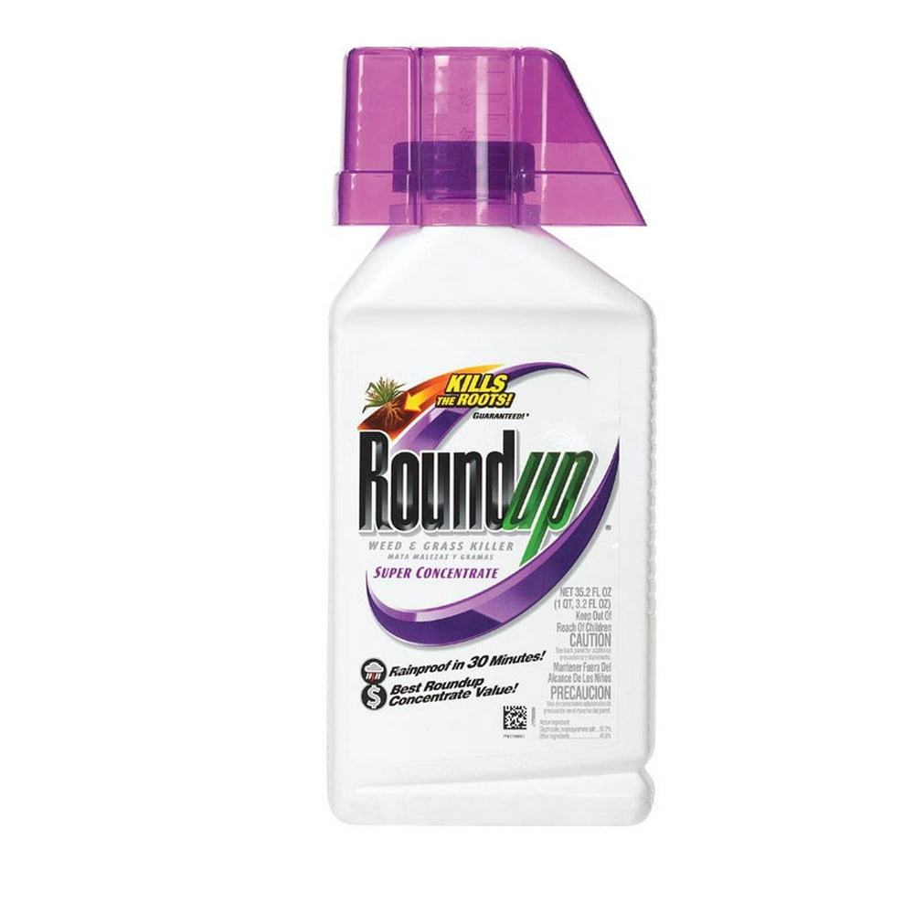 Roundup 5100720 50 Super Concentrate Weed & Grass Killer 35.2 Oz Rain
