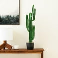 thumbnail image 5 of Vickerman 45" Artificial Green Finger Cactus in 8" Black Pot., 5 of 5