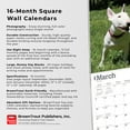 thumbnail image 5 of Bull Terriers | 2024 12x24" (Hanging) Square Wall Calendar | BrownTrout, 5 of 8