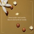 thumbnail image 2 of Dove Pampering Shea Butter & Vanilla Body Wash, 4x325ml, 2 of 8