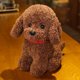 thumbnail image 3 of Peluche de perro de peluche para niños, muñeco de peluche de la vida Real, regalo de cumpleaños y Navidad, 22cm/28cm, 3 of 5