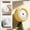 Yellow, variant on Wind-Up Mechanical Kitchen Timer, Magnetic Round Countdown Timer with Alarm for Cooking Baking Study,White