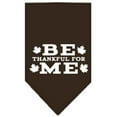 thumbnail image 4 of Thanksgiving Pet and Dog Bandana Screen Printed, "Be Thankful For Me", 4 of 10
