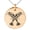 Rose, variant on Tioneer Stainless Steel Huginn & Muninn Odin's Twin Ravens Engraved Small Medallion Circle Charm Pendant Necklace