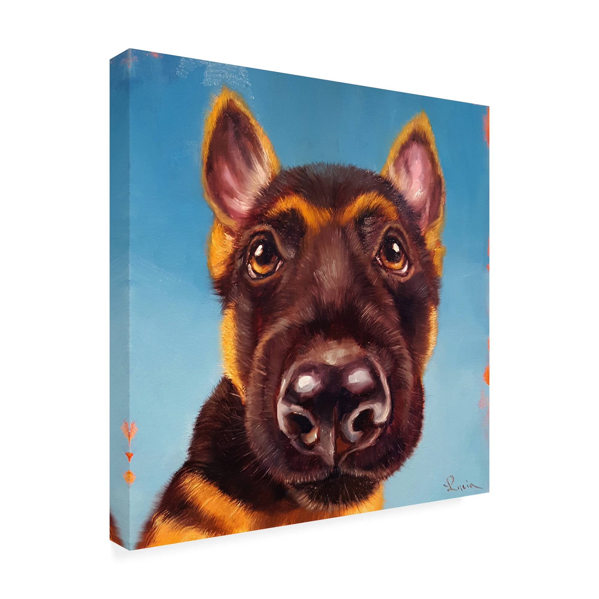 Trademark Fine Art 'Follow Your Nose 1' Canvas Art by Lucia Hefferna