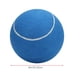 thumbnail image 3 of Pelota de tenis pelota de tenis inflable de 8 pulgadas grande para exhibición para jugar con firma ANGGREK Otros, 3 of 8
