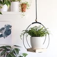 thumbnail image 2 of Maytalsory Outdoor Hanging Easy Pots Flower Lights Outside Titanium hanging flower Hanging Inside, 2 of 6