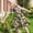 Army Green, variant on ATOGUTA Dresses Girls Summer Ruffle Sleeve A Line Casual Party Dresses for Kids Size 5T-14, Army Green