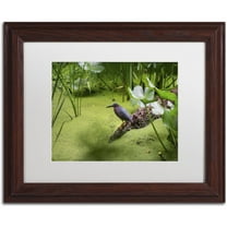 Trademark Fine Art "Green Heron" Canvas Art by Kurt Shaffer, White Matte, Wood Frame
