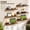 Brown, variant on Floating Wall Shelves Set of 6, Wood Mounted Shelves for Bedroom Living Room Bathroom Kitchen, Rustic White Picture Ledge Storage