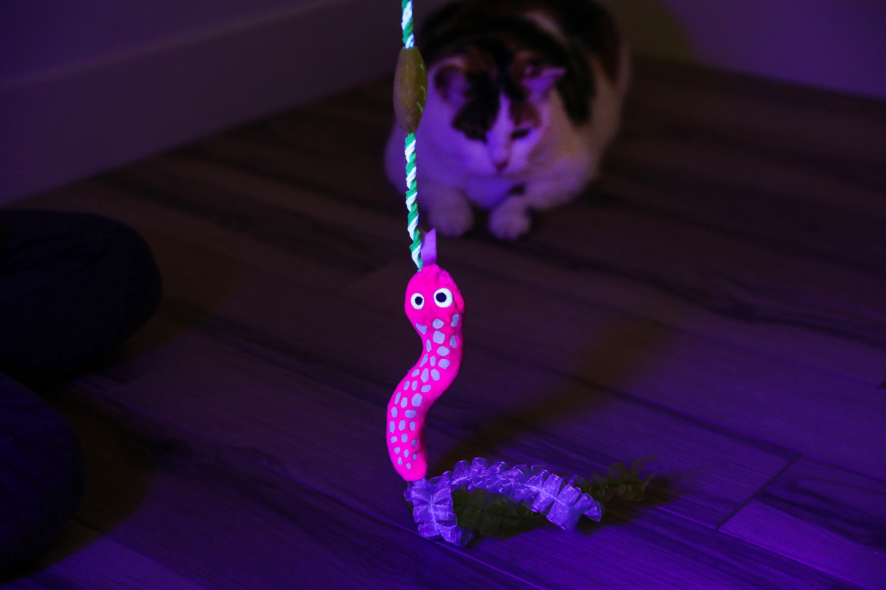 Quirky Kitty Glowing Forest Glow Snake Wand Night Play Catnip Cat Toy, Pack of 1, Glow Snake Wand