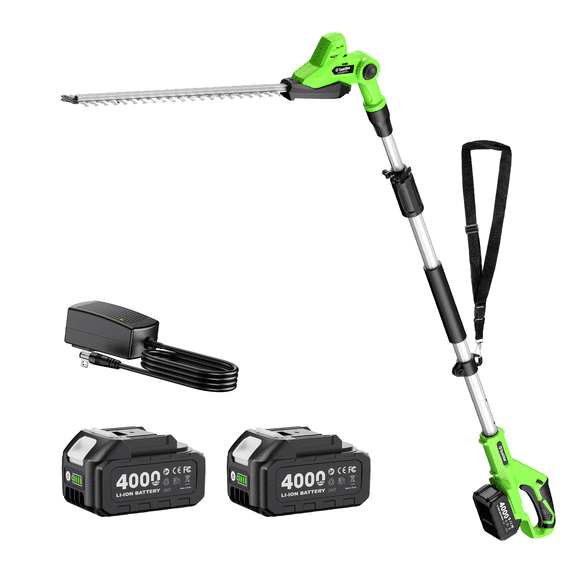 Taskstar 8ft 20in Cordless Electric Pole Hedge Trimmer,Shrub & Bush Trimmer Cutter,2x4.0Ah Batteries, Dual-Action Blad