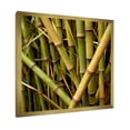 thumbnail image 5 of Designart "Close-Up Of The Bamboo Field" Bamboo Picture Framed Wall Art Prints, 5 of 5