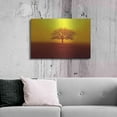 thumbnail image 6 of Luxe Metal Art 'So lonely' by Philippe Sainte-Laudy, Metal Wall Art, 36"x24", 6 of 9