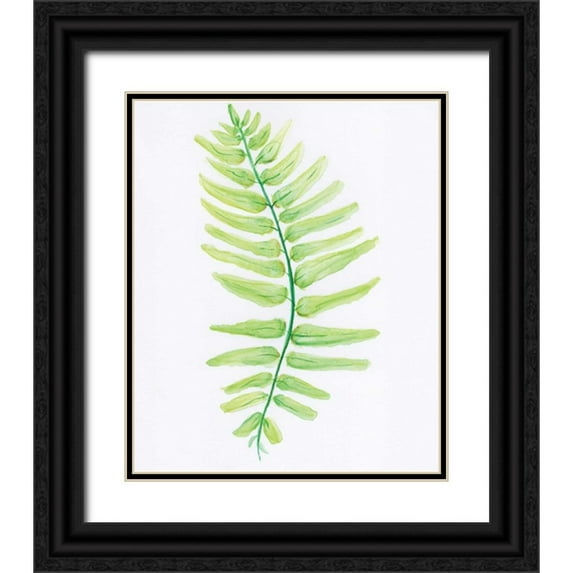 Seay, Anne 20x23 Black Ornate Wood Framed with Double Matting Museum Art Print Titled - Fern