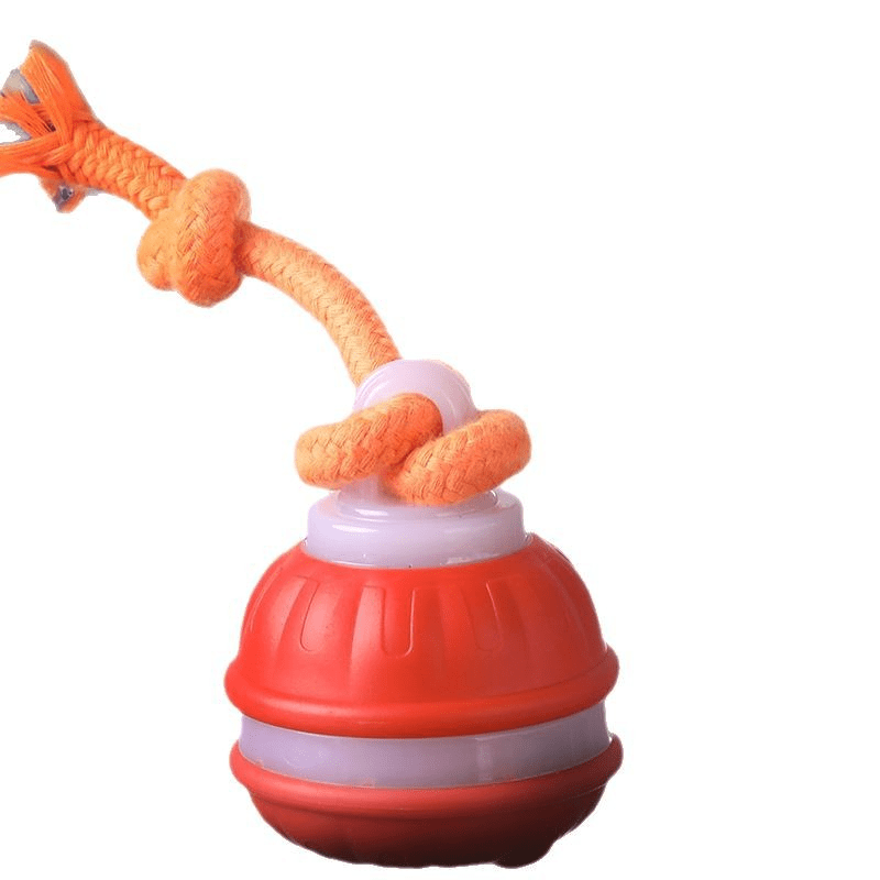Interactive Dog Toys Ball, Fun Moving Motion Activated Dog Ball Toys to Keep Them Busy, Rechargeable Smart Automatic Rolling Dog Ball for Small Puppy Dogs