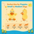 thumbnail image 4 of Juguete masticable de peluche BluPup Squeaky Duck para perros pequeños, 4 of 6
