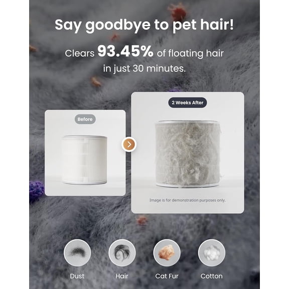 Purifier Filter 1 Pack, Washable Pre-filter, True HEPA & Carbon for Series