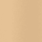 004 Color Corrector 150