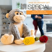 Friendly Songs Sound Module - 2 Hour Voice Box for Stuffed Animals and Projects - USBC