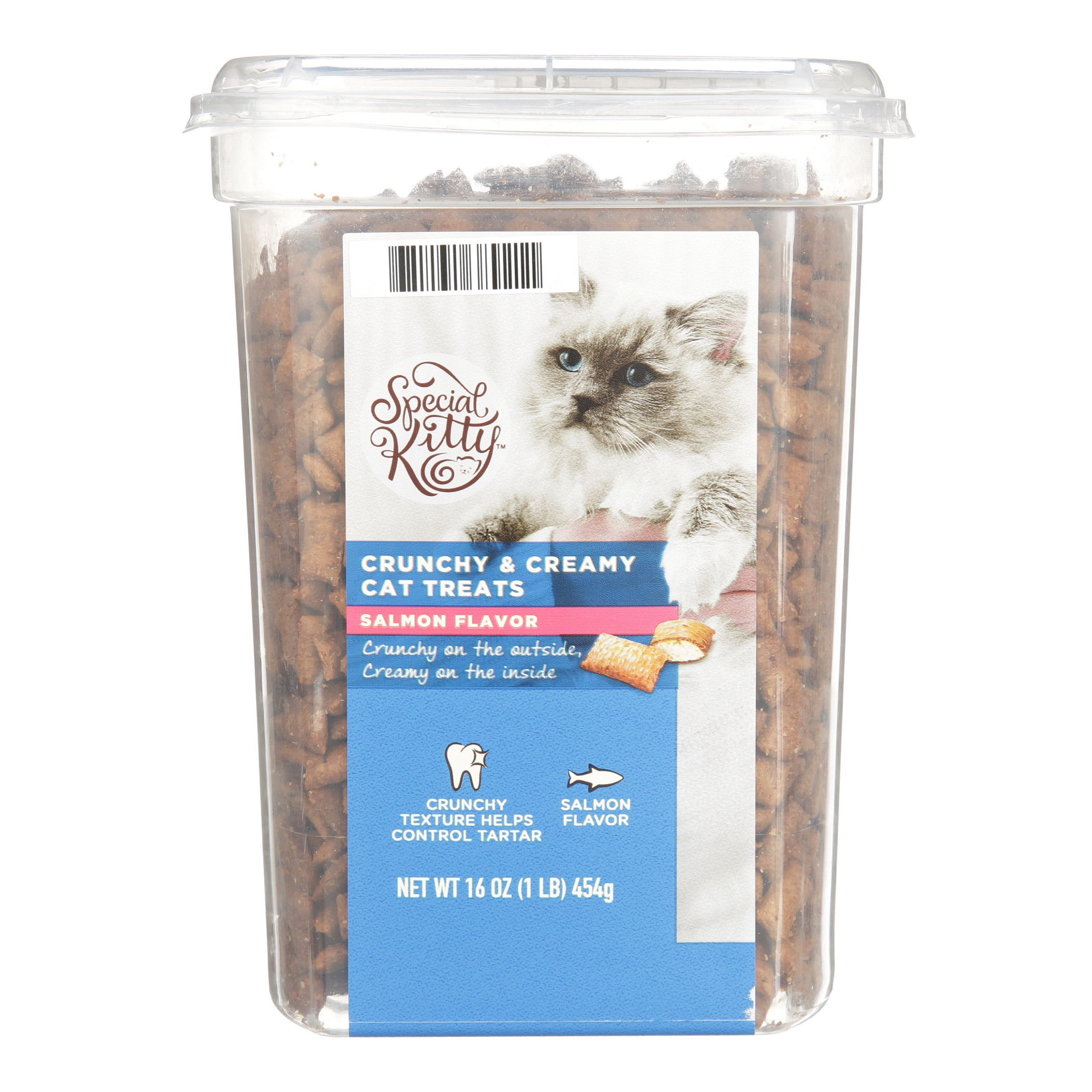 Special Kitty Crunchy & Creamy Cat Treats, Salmon Flavor, 16 oz