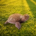 thumbnail image 3 of Labymos Mini Turtle Statue Resin Animal Sculpture Decoration Turtle Ornament Arts Micro Landscape for Outdoor, 3 of 8