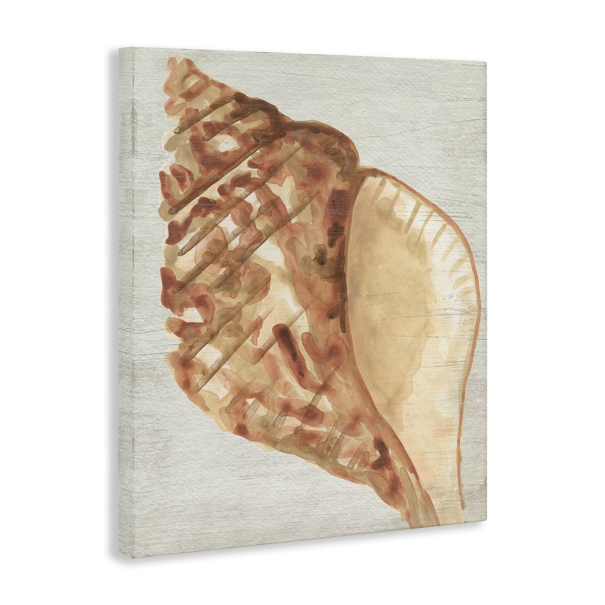 Stupell Industries Tan Conch Shell Nautical & Beach Painting Wrapped Canvas Art Print Wall Art, 16 x 20