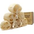 thumbnail image 1 of wonima11 Natural Luffa Sponges Exfoliating Body Scrubber(4.7" Family 6Pack),Organic Loofah Unveil Your Skin's Natural Beauty, 1 of 1