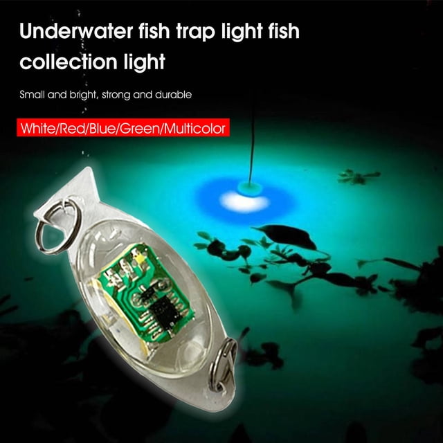 Professional Fish Lamp High-end Configuration Convenient to Carry Fishing Equipment Fishing Lure Light for Outdoor