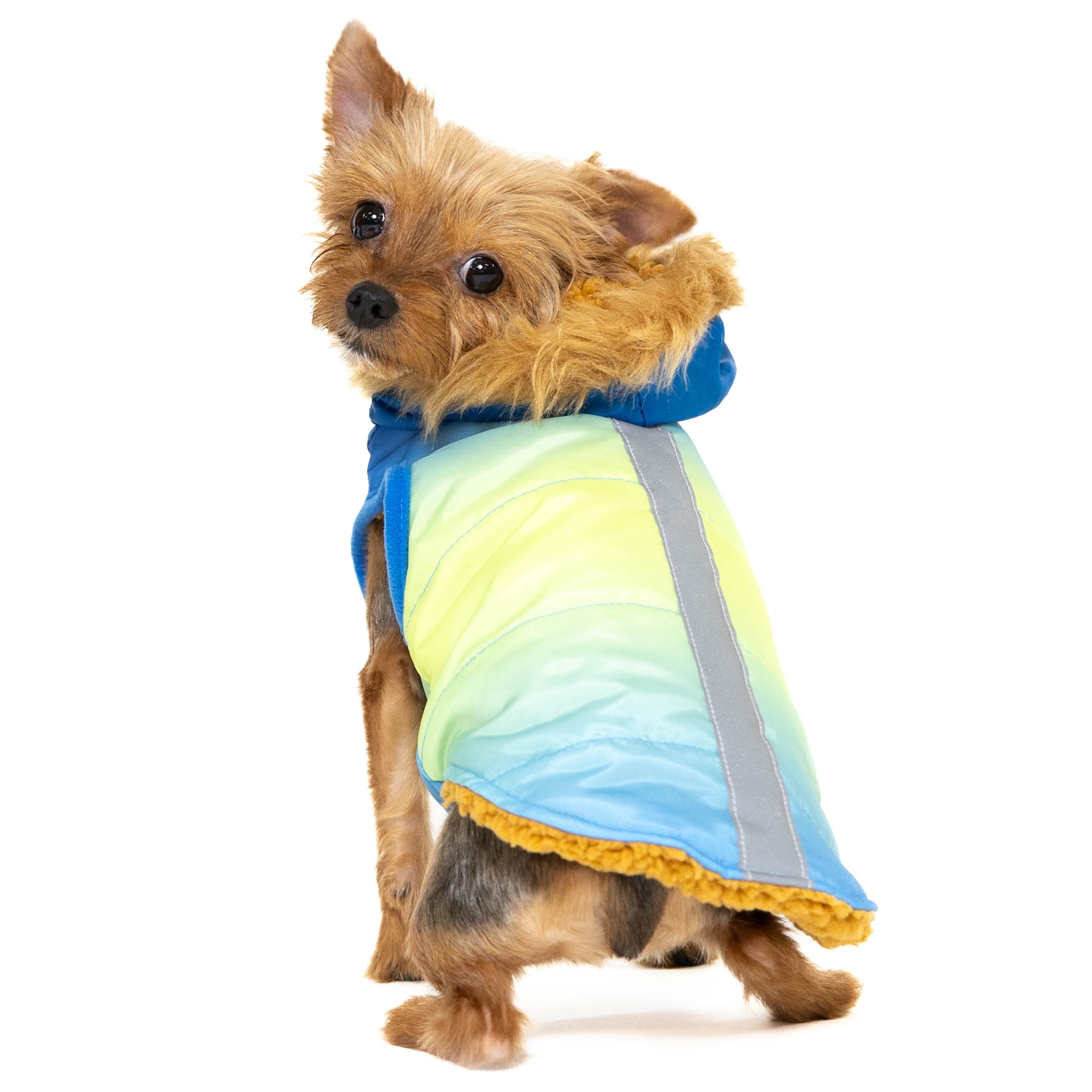 Vibrant Life Pet Hooded Jacket, Blue Ombre, XS