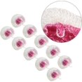thumbnail image 4 of 10 Count Kerosene Lantern Mantles Mesh Gauze Covers, Small Size, Durable Replacement for Reliable Lighting, 4 of 5