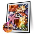 thumbnail image 2 of Cuadros Decorativos 5D bricolaje ronda completa taladro diamante pintura playa Shell Kit decoración del hogar (w1143) DQrwqpou Nuevos Originales, 2 of 9