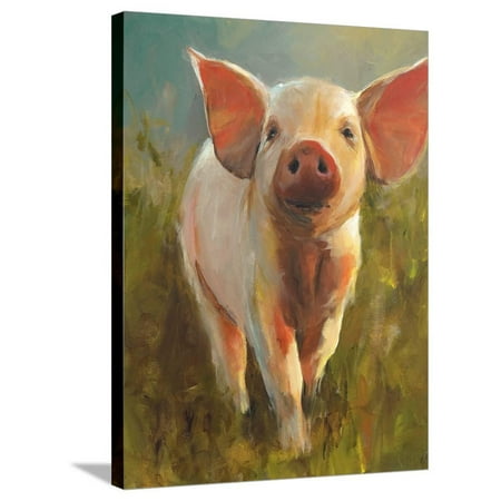 Morning Pig Stretched Canvas Print Wall Art By Cari J^ Humphry