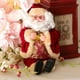thumbnail image 2 of Franela Sentada BLESIY Muñeca Decoración para hogar Adornos rojo muñeca de franela santa, 2 of 8