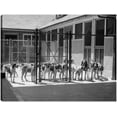 thumbnail image 1 of Cuadro Decorativo Jr Perrera Foxhound Dogs, 1 of 3