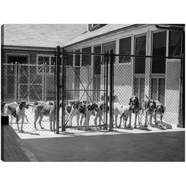 Cuadro Decorativo Jr Perrera Foxhound Dogs