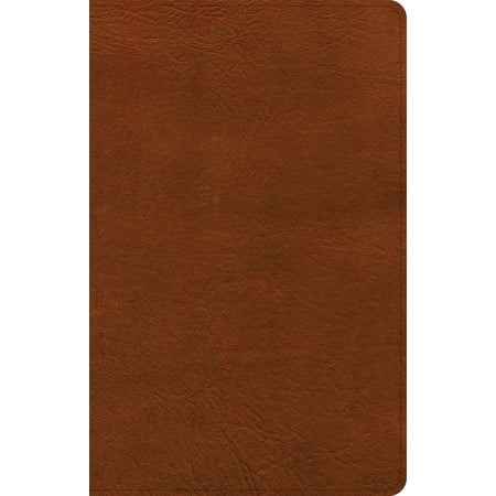ISBN 9781087757650 product image for NASB Large Print Personal Size Reference Bible, Burnt Sienna Leathertouch, Index | upcitemdb.com