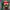 Black and Green Minecraft, variant on Marvel Spider Man Boys LCD Red Silicone Watch with Matching Flashlight 2 Piece Set