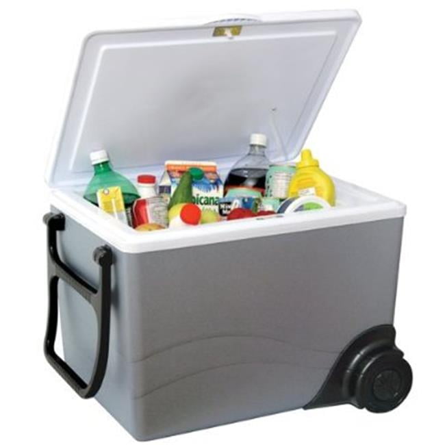 Gray Portable 40 Qt Thermoelectric Cooler Hard Sided Outdoor Beverage Storage 