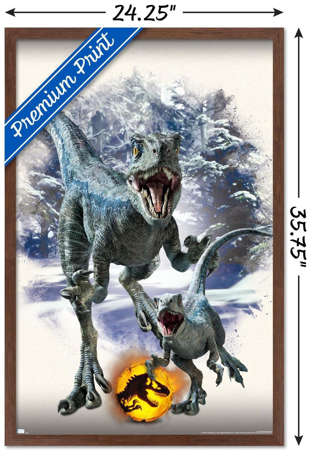 Jurassic World: Dominion - Blue and Beta Focal Wall Poster, 14.725" x 22.375" Framed