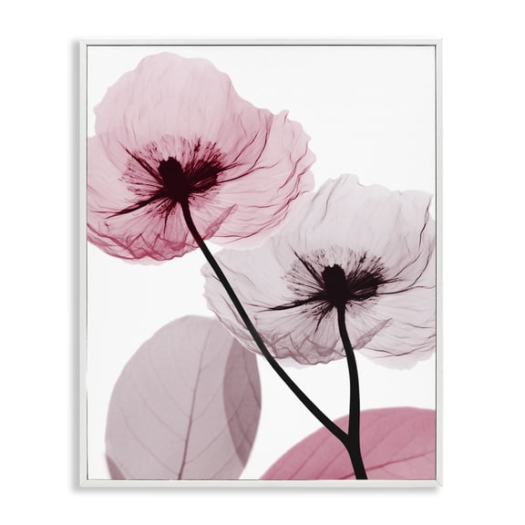 Stupell Industries Glam Pink Poppy Flowers White Framed Giclee Art, 11 x 14, by Albert Koetsier