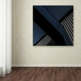 thumbnail image 3 of Trademark Fine Art 'The X Factor' Canvas Art by Gilbert Claes, 3 of 3