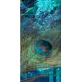 thumbnail image 2 of Prime, Marcus 18x32 Gold Ornate Wood Framed with Double Matting Museum Art Print Titled - Metropolitan Peacock 2, 2 of 4