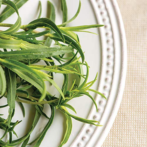 Burpee Mexican Tarragon Seeds 500 seeds