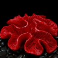 thumbnail image 3 of Resina Ornts Rium R Para Tank Rat, 3 of 5