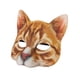 thumbnail image 5 of Máscara de cosplay de Halloween Máscara de cara de gato Tocado de animal Máscara de cabeza de animal Accesorios para fotos Accesorio de disfraz de, 5 of 9