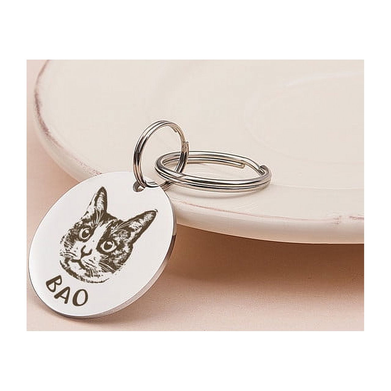 Anavia Stainless Steel Double Sided Round Name and Pet Portrait Engraved Dog & Cat ID Tag, Multi-color, S