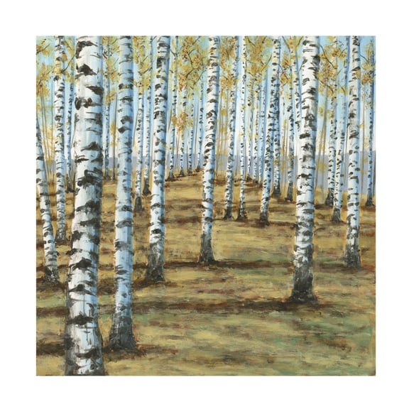 Trademark Fine Art Michael Willett Birch Hillside II Canvas Wall Art