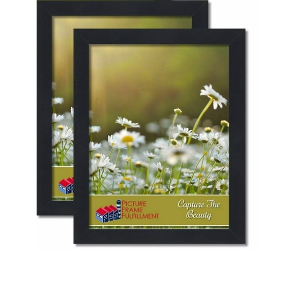 18 By 24-inch Picture Frame 2-piece Set, Smooth Finish, 1.25 Inch Wide, Black Pictureframefactoryoutlet (18x24 Set of Two)